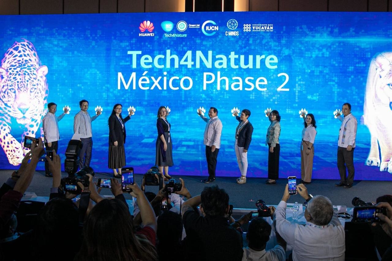 Tech4Nature Jaguarları Koruma Projesinin İkinci Aşaması Meksika'da Başladı 