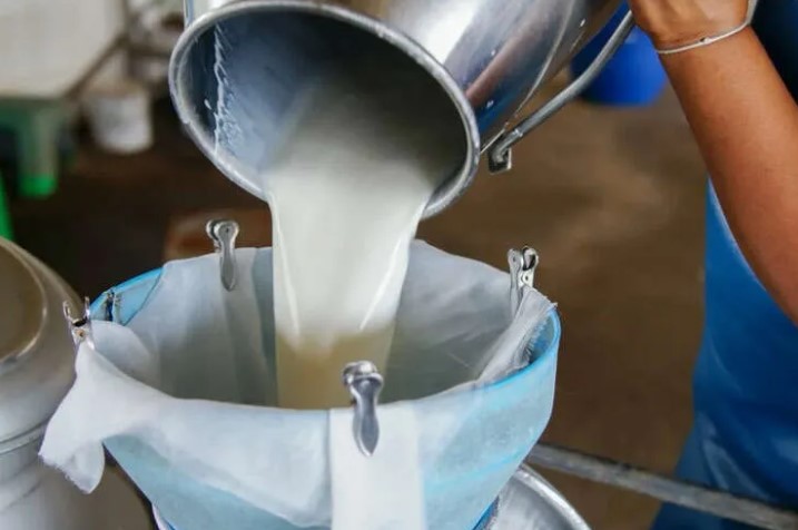 Çiğ Süt Üretimi Rekor Kırdı: 22,5 Milyon Ton
