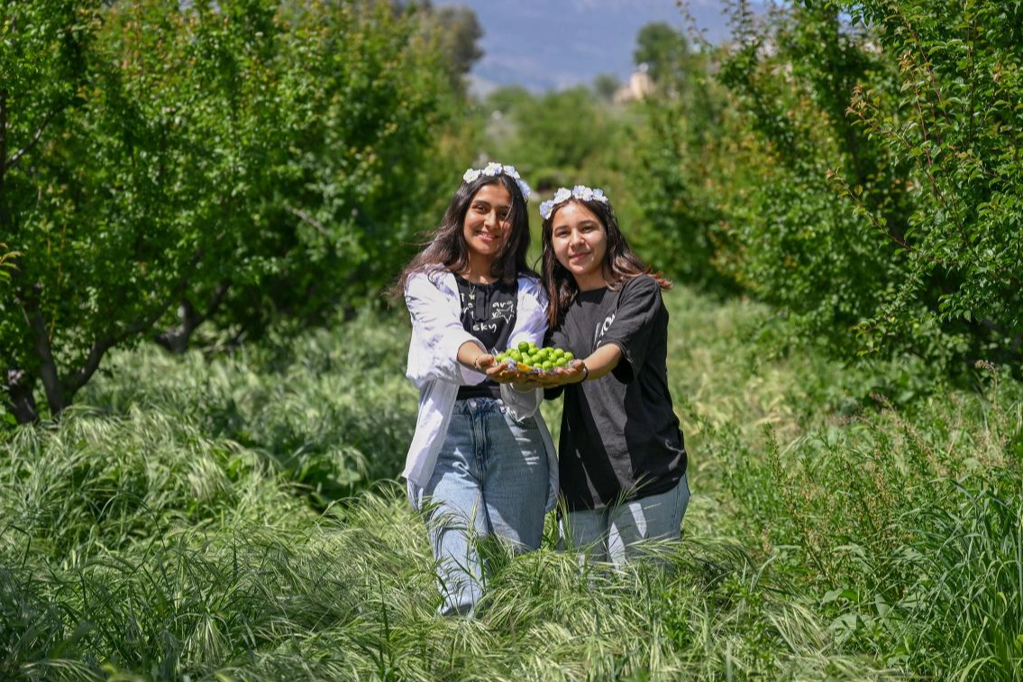 Gravga Erik Şenliği'nde Lezzet ve Eğlence Buluştu

