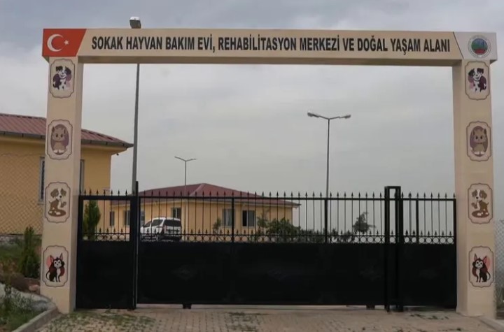 Siirt'te hayata geçirilen 50.000 metrekarelik 