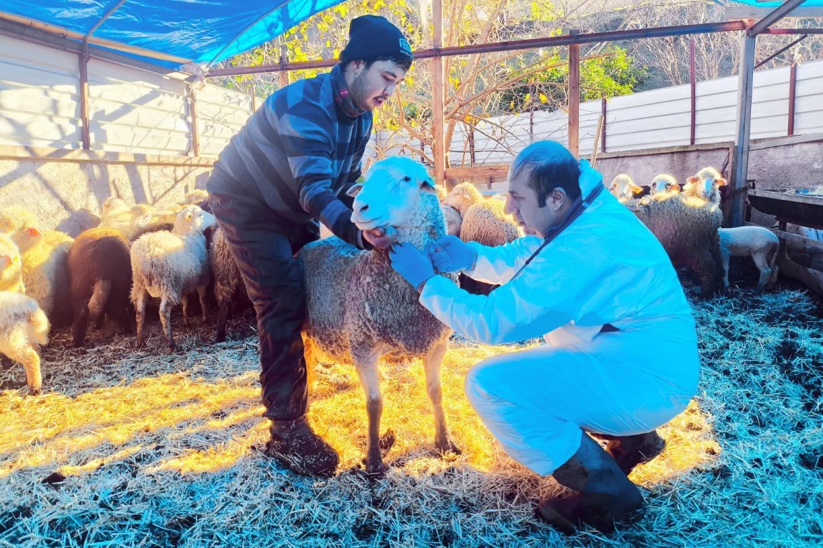 Giresun, Karadeniz’de Bir İlke İmza Attı