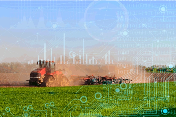 2025’te Bitkisel Üretimde Düşüş: TÜİK Verileri Açıklandı