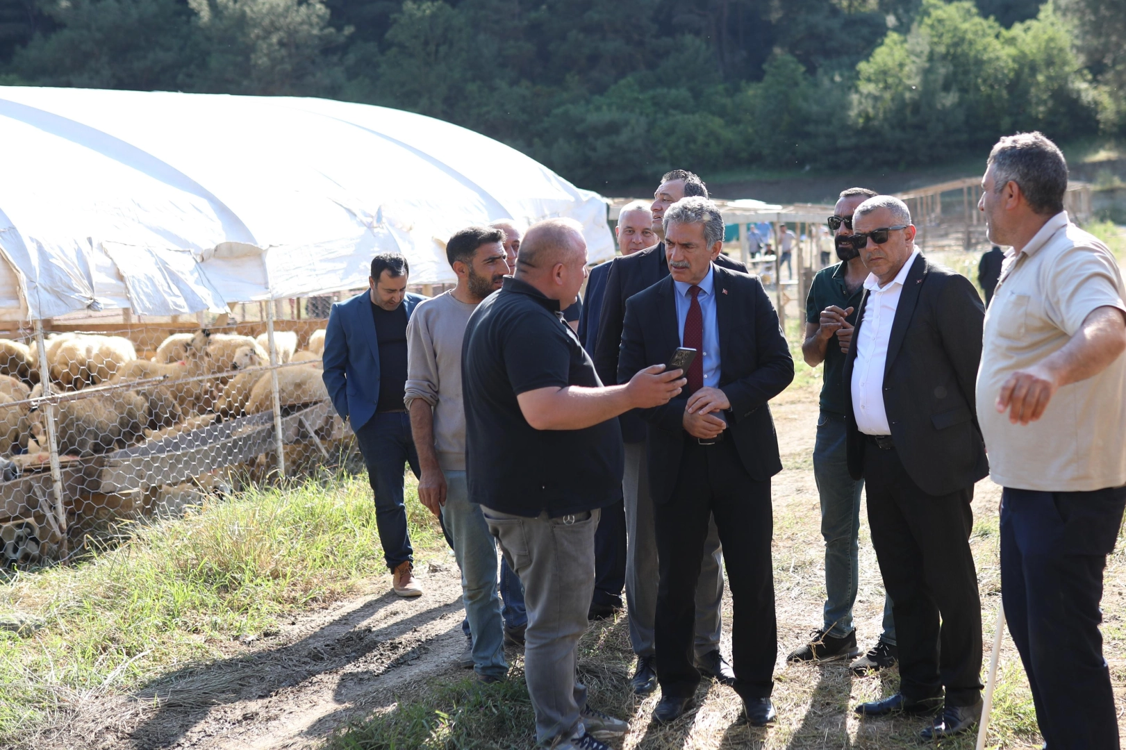 Gemlik Kurban Pazarı'nda Satışlar Başladı
