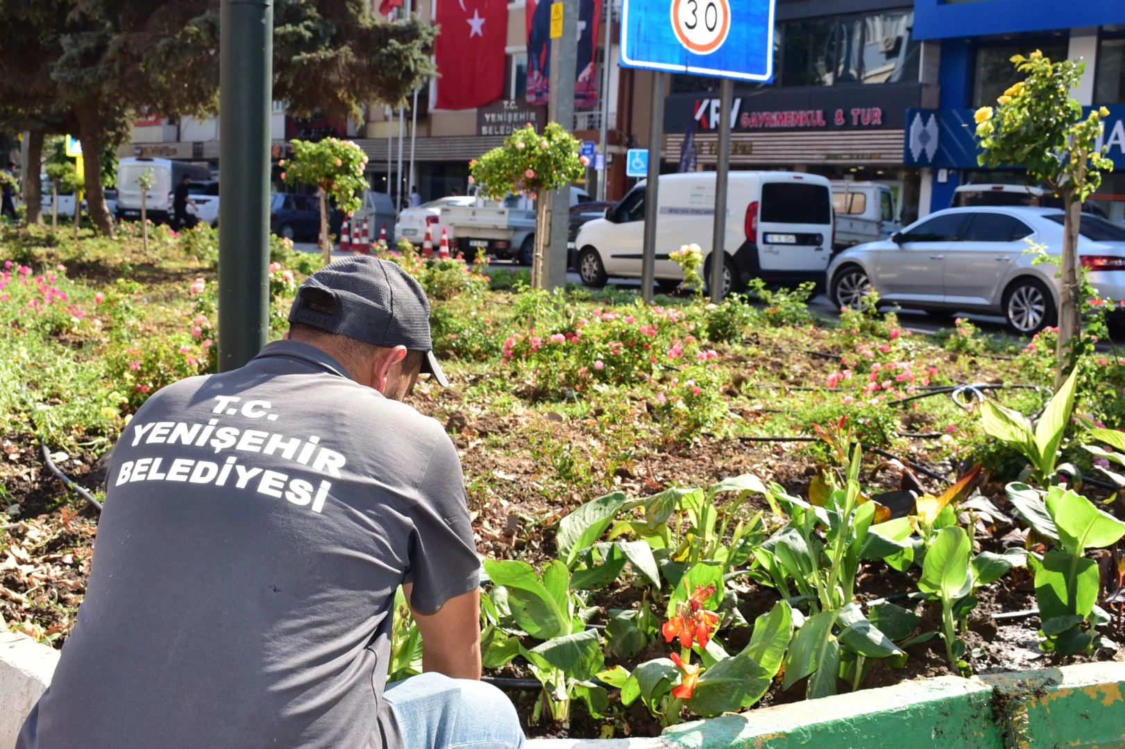 Yenişehir'de Renkli Bir Dönüşüm: Refüjler Çiçek Açtı
