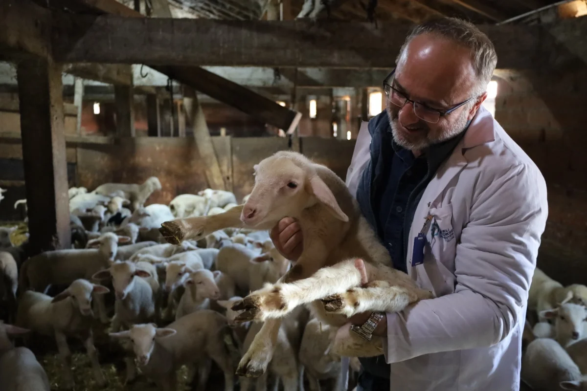 Kocaeli’de 2025’te Çiftçiye 166 Milyon TL’lik Destek
