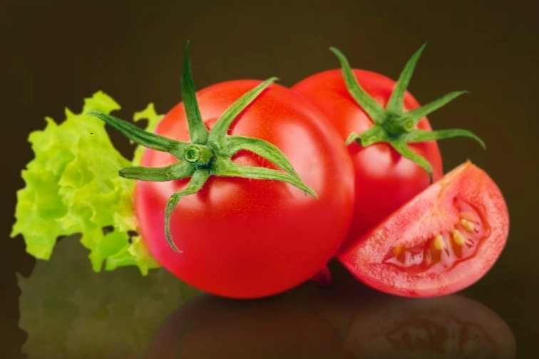 Muğla Milas’ta Talep Edene Ücretsiz Yerel Tohum Dağıtımı