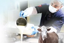 Denizli'de Kurban Bayramı Aşevi Kampanyası Başladı
