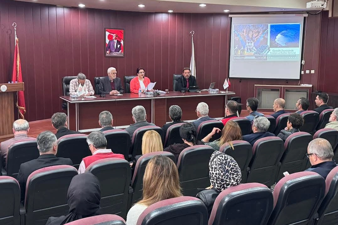Gemlik Zeytininde Verim ve Kalite Zirvesi Gerçekleşti
