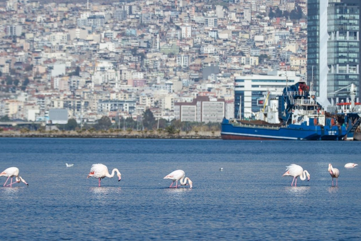 İzmir'de İklim Kriziyle Mücadele Güçleniyor
