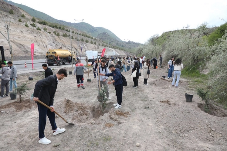 Melikgazi'de Yeşil Alanlar Genişliyor
