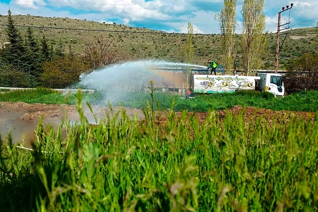 Talas'ta Haşereyle Mücadele Başladı
