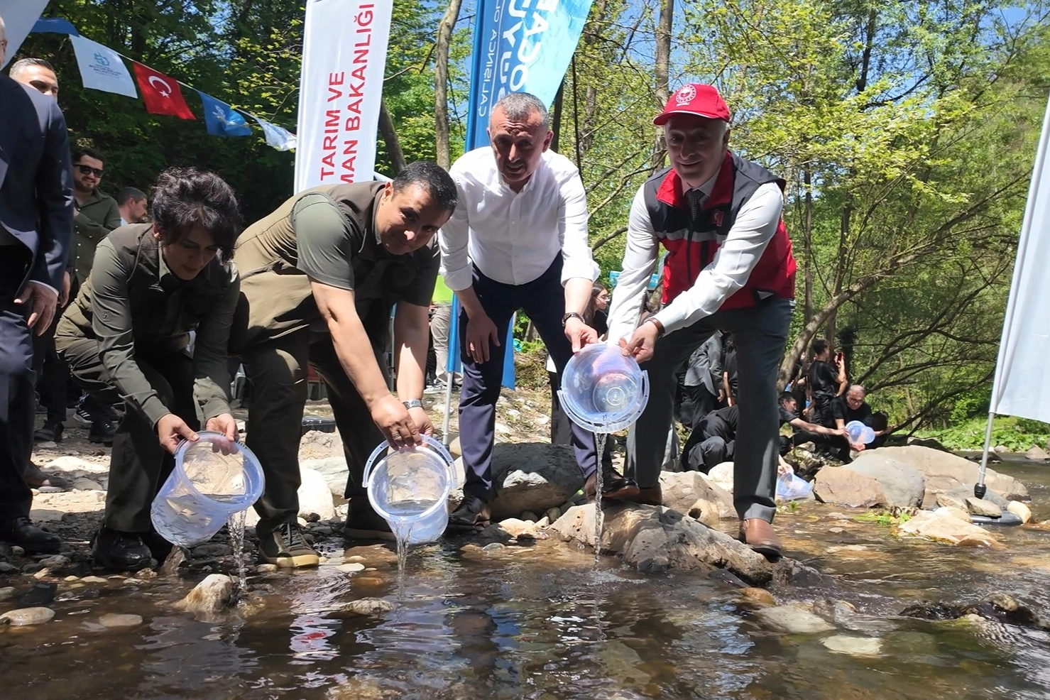Kocaeli'ne İki Yılda 16 Bin Alabalık Salındı
