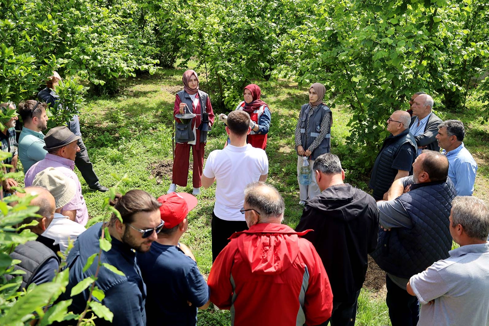 Sakarya'da Çiftçilere Feromon Tuzağı Dağıtımı Başladı
