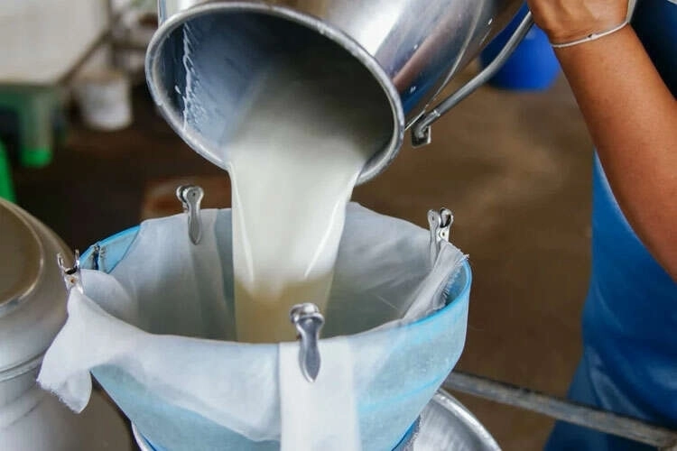 Türkiye'de Süt Üretimi Mart Ayında Yükseldi
