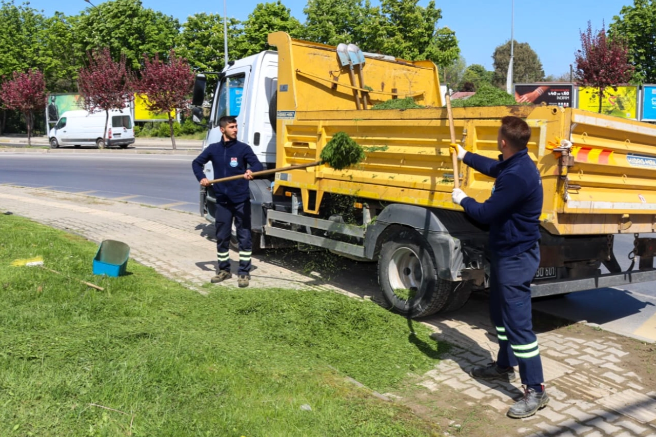 Yalova'da Yeşil Alan Bakımı Devam Ediyor
